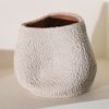 Vaso Orgânico