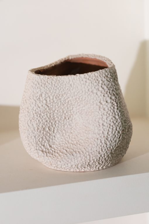 Vaso Orgânico